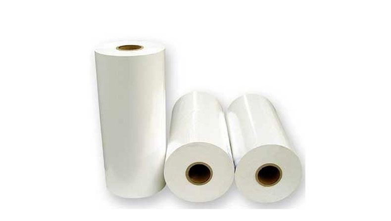 LDPE / Poly Coated Maplitho Paper